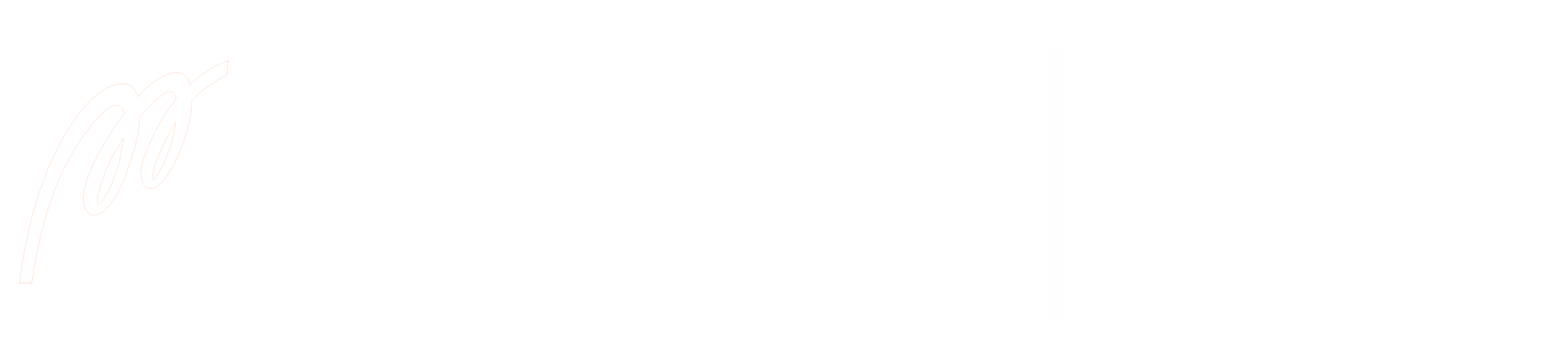 Metropolia logo
